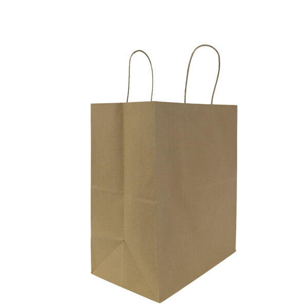 Paper Bag with Handle - Large (Kraft)